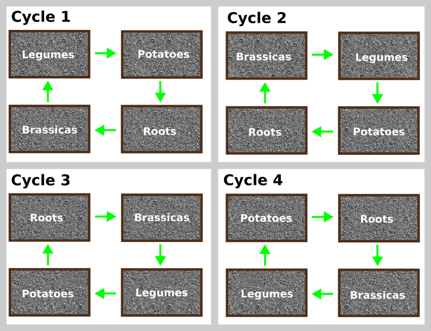 Crop Rotation 3